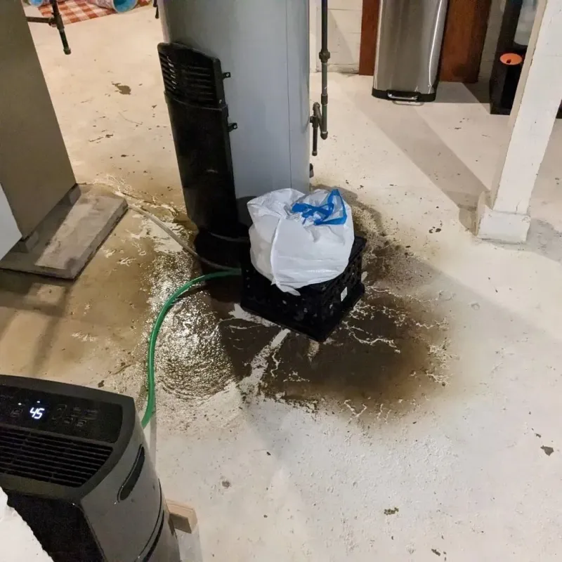 Sewage Backup Cleanup Service in Comanche County, OK
